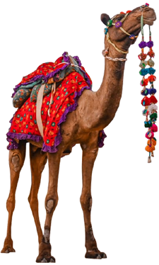 Jaisalmer
